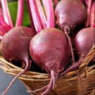 Beet Lutz Winter Keeper 50 Seeds Organic Fresh Garden