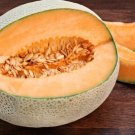 Cantaloupe Jumbo Hales Best Organic Seeds Fresh Garden
