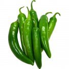 Pepper Mexican Pepper Serrano Mix Pico De Gallo Organic Fresh Garden