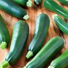 Squash Black Beauty Zucchini Organic Seeds Fresh Garden Squash Black Beauty Zucchini Organic Seeds Fresh Garden