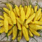 Pepper Lemon Chile Hot Organic Seeds Fresh Garden
