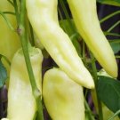 Pepper Hungarian Sweet Banana Organic Seeds Fresh Garden