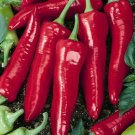 Pepper Italian Marconi 25 Organic Seeds Fresh Garden Pepper Italian Marconi 25 Organic Seeds Fresh Garden