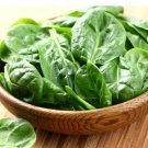Spinach Matador Organic Vegetable Seeds Fresh Garden
