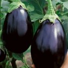 Eggplant Black Beauty 30 Vegetable Seed Fresh Garden
