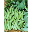 Pea Sugar Snap 125 Vegetable Seed Organic Fresh Garden