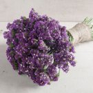 40 Statice Seeker Purple Seeds Fresh Indoor Outdoor Garden