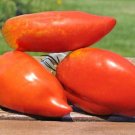 Tomato Linguisas Polish Pastes Meaty S Variety Excellent Yields 20 Seeds Indoor Outdoor Garden