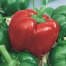 Peppers Capsicum Annuums Hottest Entrys Mexibell Hot Habaneros Improved 10 Seeds Indoor Outdoor Gard
