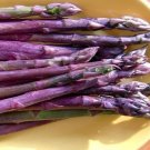 Asparagus Gorgeous And Tasties Purple Passions In The S S 10 Roots Indoor Outdoor Garden