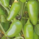 Pepper Hybrid Mucho Jalapeno Nachos Grows Longer And Its Great Yielders 10 Seeds Indoor Outdoor Gard