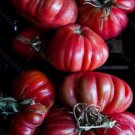 Tomato Coustralee Beefsteak Rainbow French One Of The Largest Cultivars 20 Seeds Indoor Outdoor Gard