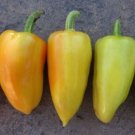 Peppers Antohis Capsicum Annuums S Green Leaves White Flowers 20 Seeds Indoor Outdoor Garden