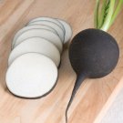 Radish Nero Black Tondo Variety Round Roots With Crisp Hot White Flesh 200 Seeds Indoor Outdoor Gard