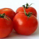 Tomato Ace Cals Tasty Rich In Vitamins And Antioxidants Are High Fibers 20 Seeds Indoor Outdoor Gard