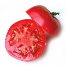Tomato Traveler Not Selectively Breds For Tastes Or Appearance 10 Seeds Indoor Outdoor Garden