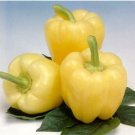 Pepper Zinfandel Bell Disease Resistance Gourmet Whites With Pink Blush 20 Seeds Indoor Outdoor Gard