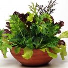 Gourmet Mix Includes Lettuces Brassicas And Asians Herbs Salads Pellitized Seeds Indoor Outdoor Gard