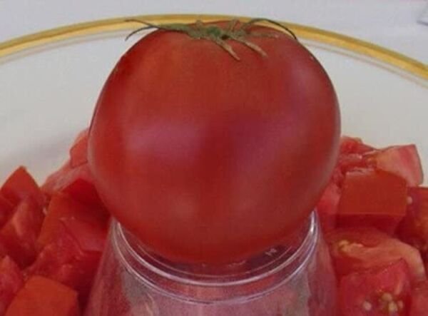 Tomato Volkov Cosmonauts Opens Pollinated True To Type 20 Seeds Indoor Outdoor Garden