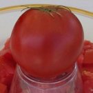 Tomato Volkov Cosmonauts Opens Pollinated True To Type 20 Seeds Indoor Outdoor Garden