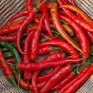 Hot Peppers Ring Of Fire Classic Cayennes Shapes Excellent Quality Type 20 Seeds Indoor Outdoor Gard
