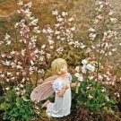 Heuchera Chiquita Miniature Coral Like Lily Of The Valey Out Live Plant 2.5" Pot Indoor Outdoor Gard