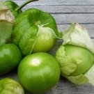Tomatillos Rios Verdes Grandes Thrive In Conditions 150 Milligrams Seeds Indoor Outdoor Garden