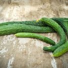 Cucumbers Cucumis Sativus Longs Suyos Excellent Almost Seedless Organic 25 Seeds Indoor Outdoor Gard Cucumbers Cucumis Sativus Longs Suyos Excellent Almost Seedless Organic 25 Seeds Indoor Outdoor Gard