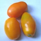 Tomato Roma Golden Vegie Great For Sauce Rich In Vitamins Antioxidant 15 Seeds Indoor Outdoor Garden