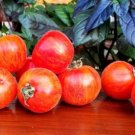 Tomato Peach Elbertas Beautiful Tasty Rich In Vitamins And Antioxidants 20 Seeds Indoor Outdoor Gard