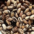 Green Snaps Beans Peregions Violest Flowers Bush Climbers Semi 25 Seeds Indoor Outdoor Garden