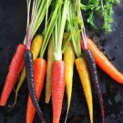 Carrot Blend Rainbow Festival Color And Flavor Mix Of Purple Yellow Red 100 Seed Indoor Outdoor Gard