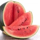 Watermelon Sweet Crimson Resistant To Fusarium Wilt Anthracnose 15 Gram Seeds Indoor Outdoor Garden