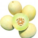 Melon Cucumis Delight Sweet Winelikes Honeydews Botanical Interests 1 Gram Seeds Indoor Outdoor Gard