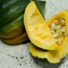 Acorn Organic Winter King Cucurbita Pepo Table Squash Yellow Orange 2 Gram Seeds Indoor Outdoor Gard