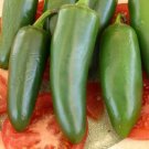 Pepper Serrano Produces Dozens Of Crisp Zesty Fruits 600 Milligrams Indoor Outdoor Garden