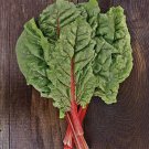 Chard Red Ruby Swis Organic Vigorous Beautify Your 2 Grams Seeds Indoor Outdoor Garden Chard Red Ruby Swis Organic Vigorous Beautify Your 2 Grams Seeds Indoor Outdoor Garden
