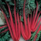 Chards Swiss Celebrations Delicious And Nutritious Bright Colors 15 Grams Seeds Indoor Outdoor Garde