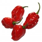Peppers Habaneros Red Extremely Hot Flavor Bright With Fruity Overtones 15 Seeds Indoor Outdoor Gard