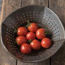 Tomato Botanical Interests Bush Glacier Are The Perfect Size For Salads 30 Seeds Indoor Outdoor Gard