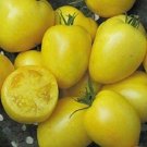 Tomato Powers Lycopersicons Esculentums Yellow Excellent Paste 20 Seeds Indoor Outdoor Garden