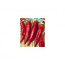 Pepper Di Corno Toro Frying Long Peppers Italianelles Cubanels 25 Seeds Indoor Outdoor Garden