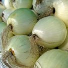 Onion Like Apple Walla Walla Sweet Mild Jumbo Size Round Shape 80 Seeds Indoor Outdoor Garden
