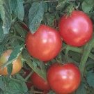 Tomato Purple Eva German Ball True To Type Pink Purple Blemish 20 Seeds Indoor Outdoor Garden