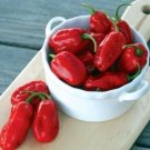 Pepper Mild Zavory Habanero Capsicum Chinense Almost Sweet Fruity Aroma 15 Seeds Indoor Outdoor Gard