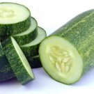 Cucumber Eight Straight Dark Green Variety 40 Seeds 2 Grams Indoor Outdoor Garden