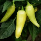 Sweet Mildly Grande Pepper Habanero Santa Fe Mild Lemon Flavor Hot 30 Seeds Indoor Outdoor Garden