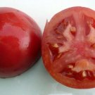 Tomato Bradley Pink Fruits Rich In Vitamins And Antioxidants 20 Seeds Indoor Outdoor Garden