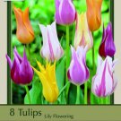 Lily Flowering Mix Tulip 8 Bulbs Great Colors 12/+ Cm Bulbs Indoor Outdoor Garden