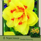 Tahiti Double Daffodil/Narcissus 8 Bulbs 14/16 Cm Bulbs Indoor Outdoor Garden